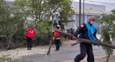 Fuertes vientos azotaron a la zona central del país y provocaron destrozos en Córdoba