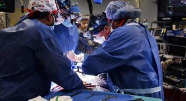 Cirugía histórica: lograron trasplantar a un hombre el corazón de un cerdo modificado genéticamente