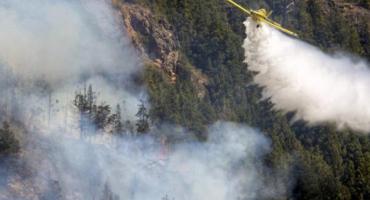 Los incendios forestales no dan tregua: hay focos activos en nueve provincias