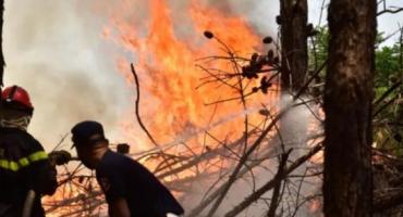 El duro relato de un productor correntino que luchó 48 horas contra las llamas y aún así perdió casi todo 