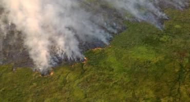 Drama y destrucción: el principal proyecto de conservación del país en riesgo por el fuego en los Esteros del Iberá 