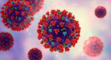 Las personas vacunadas que contraen Covid-19 generan superinmunidad, según un nuevo estudio