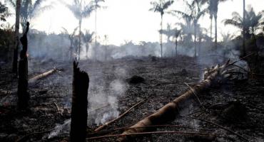 La Amazonia registró el mayor número de incendios para mayo en 18 años