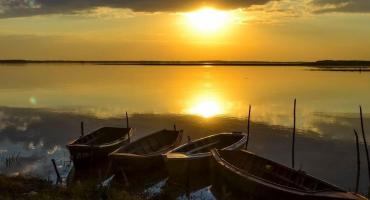 Por qué el río Paraná es el paraíso de los pescadores argentinos